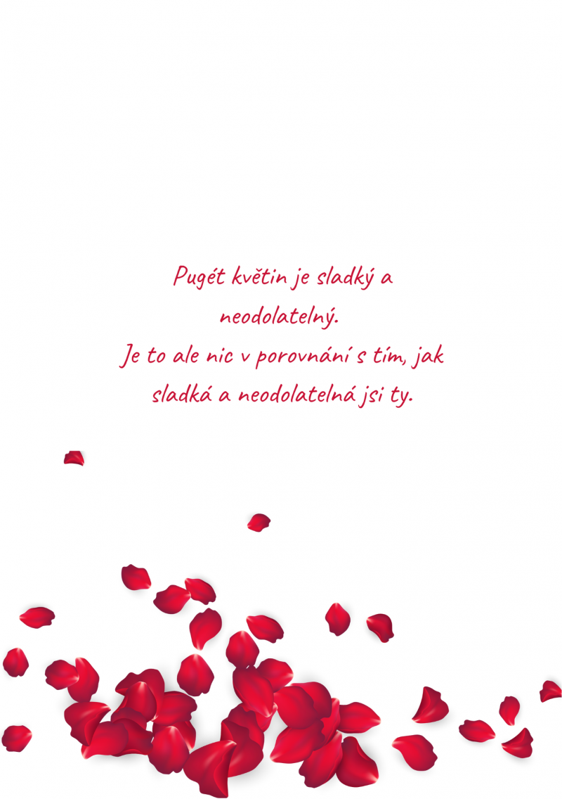 Valentýnské přání 'Krásného Valentýna' s listy růží a velkou fotografií