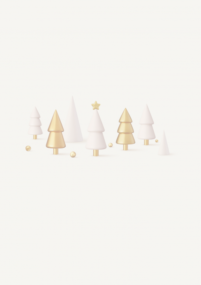 Pozvánka na vánoční večírek klasická se stromečky